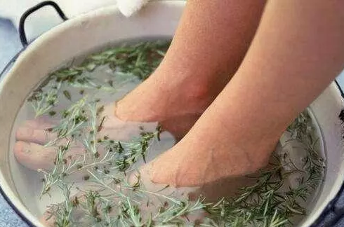 泡脚水里加艾叶，轻松祛湿!