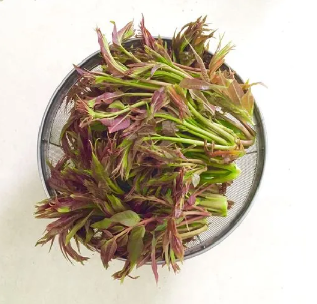 香椿好吃又营养但食用香椿需要注意这两点!