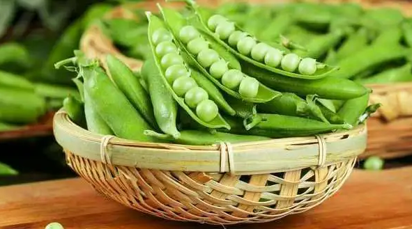 豌豆降血糖吗?