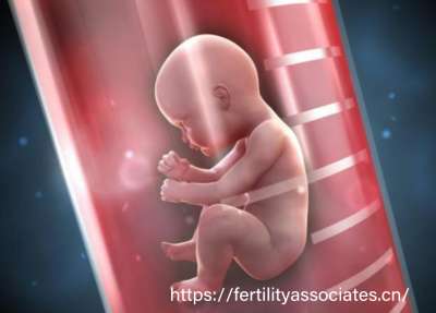 美国试管技术:全球生育医疗的标杆典范