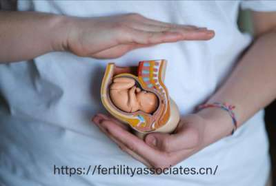 试管婴儿:给不孕者带来的生育福音