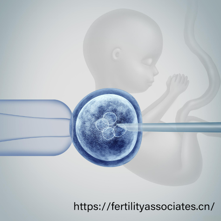 美国三代试管技术深度解析：精准筛查如何守护健康孕育